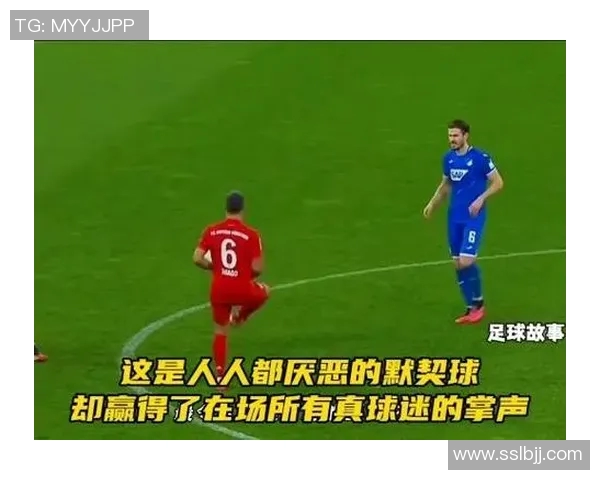 深圳排球队团队协作引发热议球迷对战术配合与默契度的不同看法 深圳排球队团队协作引发热议球迷对战术配合与默契度的不同看法