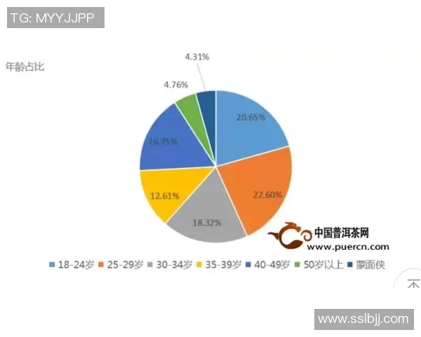 深入剖析杭州羽毛球队技术表现的数据分析与趋势研究 深入剖析杭州羽毛球队技术表现的数据分析与趋势研究