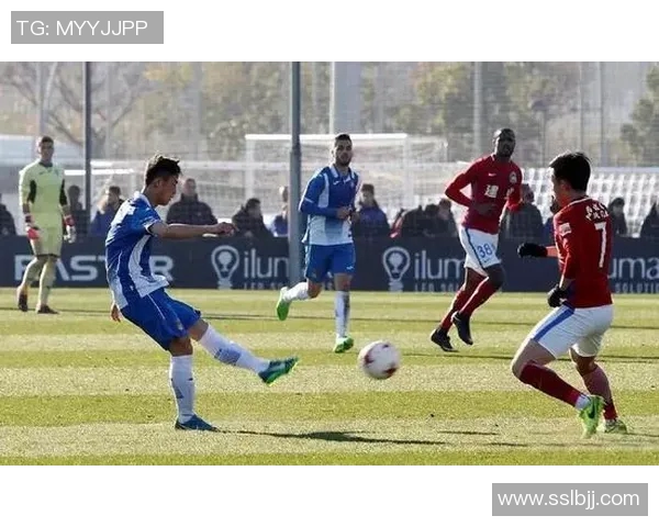 西安羽毛球队整体压制现象分析及其对赛事的影响探讨 西安羽毛球队整体压制现象分析及其对赛事的影响探讨