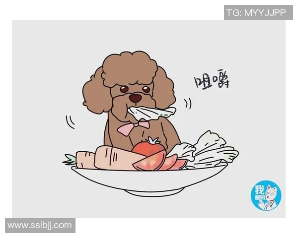 陈军独家分享网球心得与技巧助你提升球技的全面指南 陈军独家分享网球心得与技巧助你提升球技的全面指南