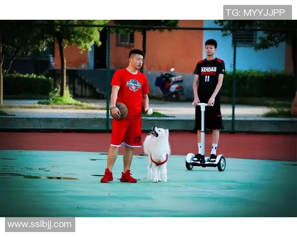 藏族情侣头像与足球明星的浪漫故事与梦想追逐