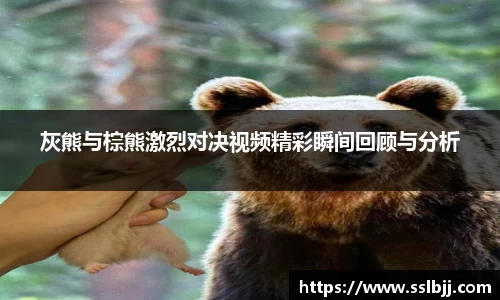 灰熊与棕熊激烈对决视频精彩瞬间回顾与分析