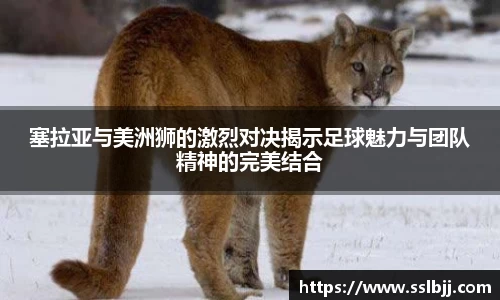 bwin必赢国际